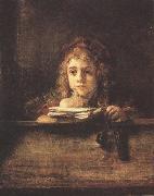 REMBRANDT Harmenszoon van Rijn Titus (mk33) USA oil painting reproduction